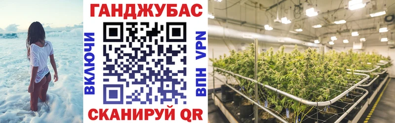 Бошки марихуана Amnesia  Купить закладки  Алдан 